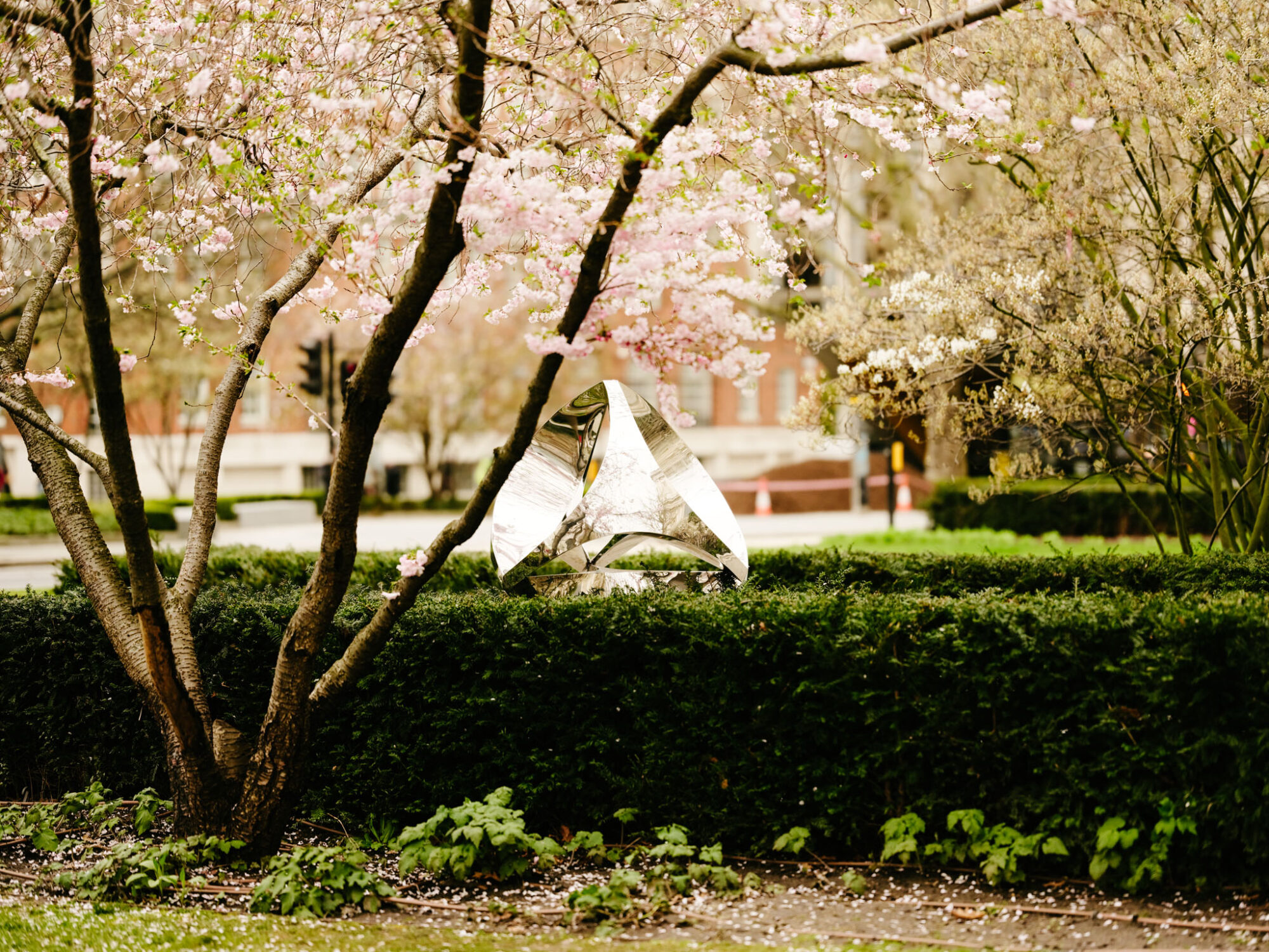 Yoga, Spas and Green Spaces in the City of London - Sculpture in the City - small tree in blossom next to reflective circular sculpture