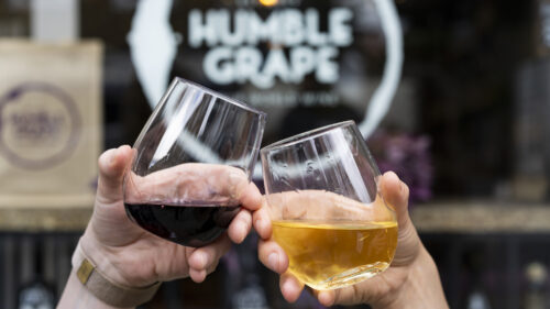 a photo of Humble Grape