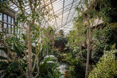 a photo of Barbican Conservatory