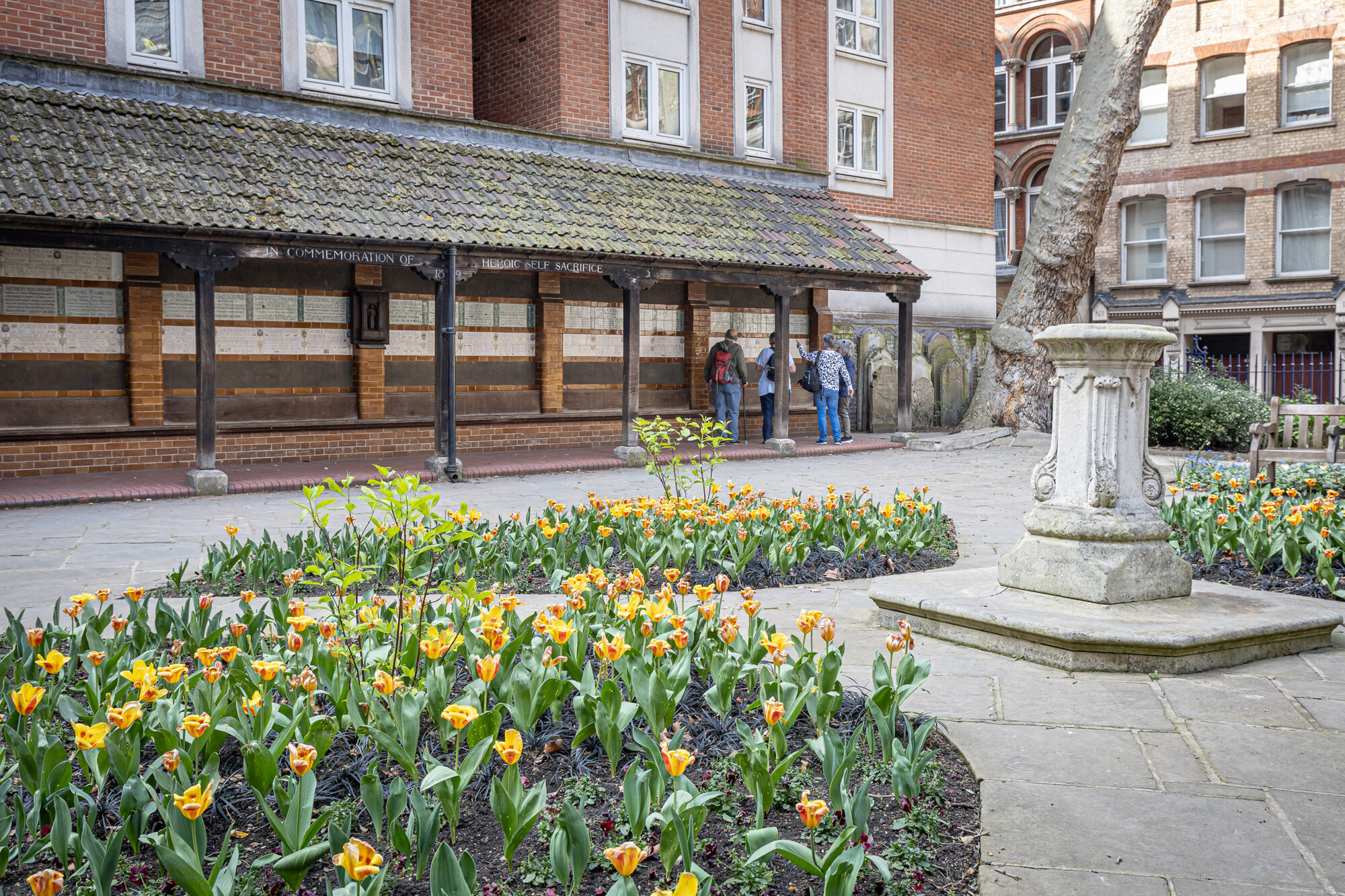 Yellow and orange tulips in a park with group of people looking at inscriptions on a wall