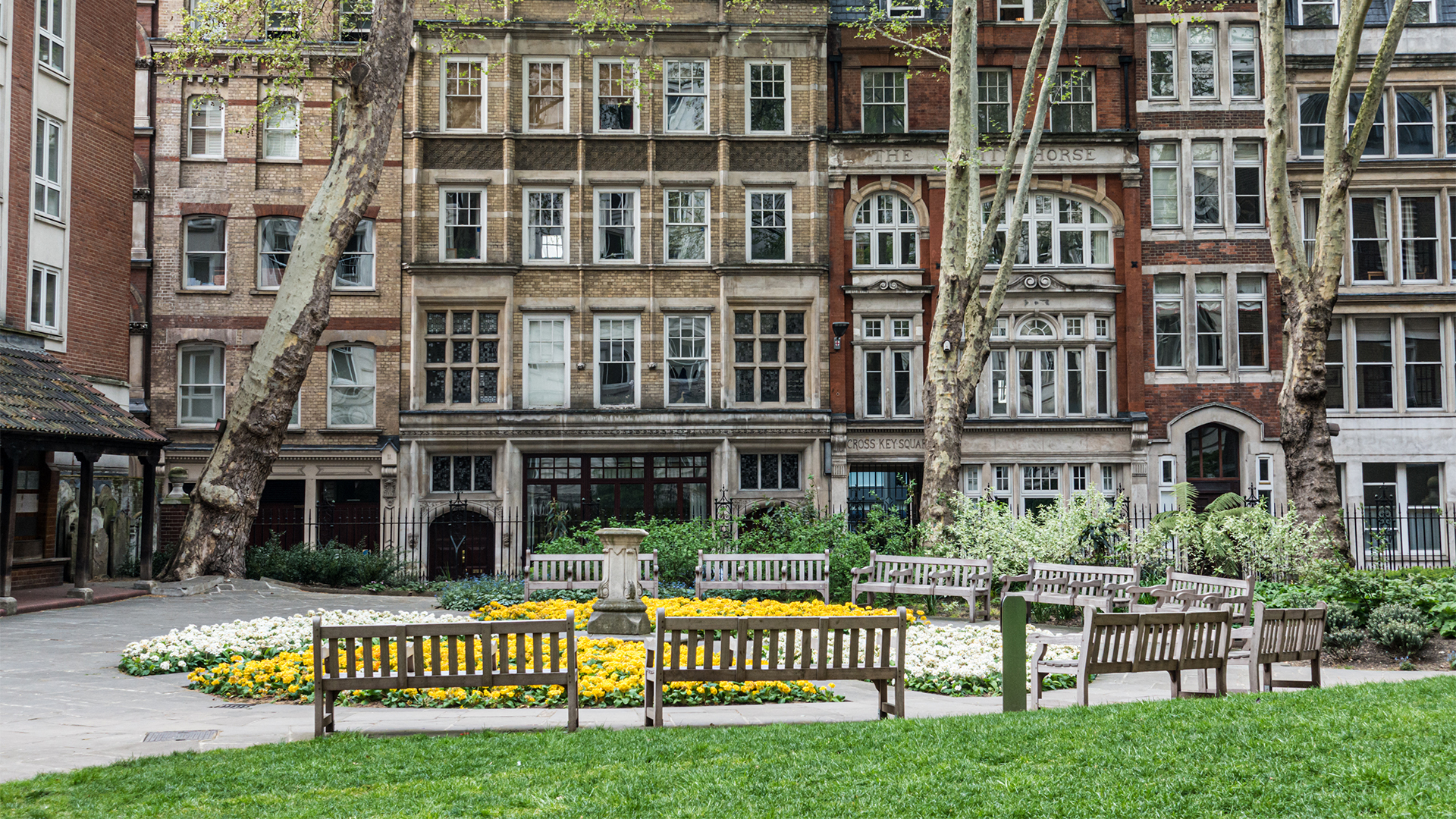 Image of a park with grass and benches located around a fountain surrounded by yellow flowers, with buildings in the background