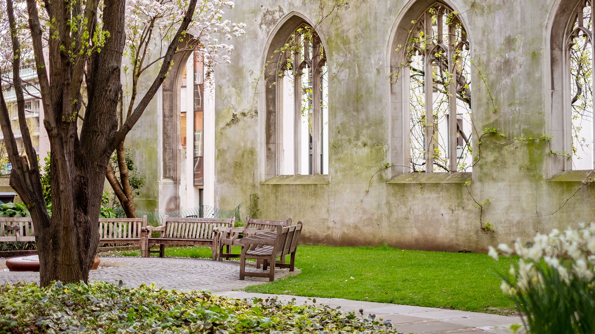 Park with grass, flowers, a tree and benches located on the ruins of an ancient church