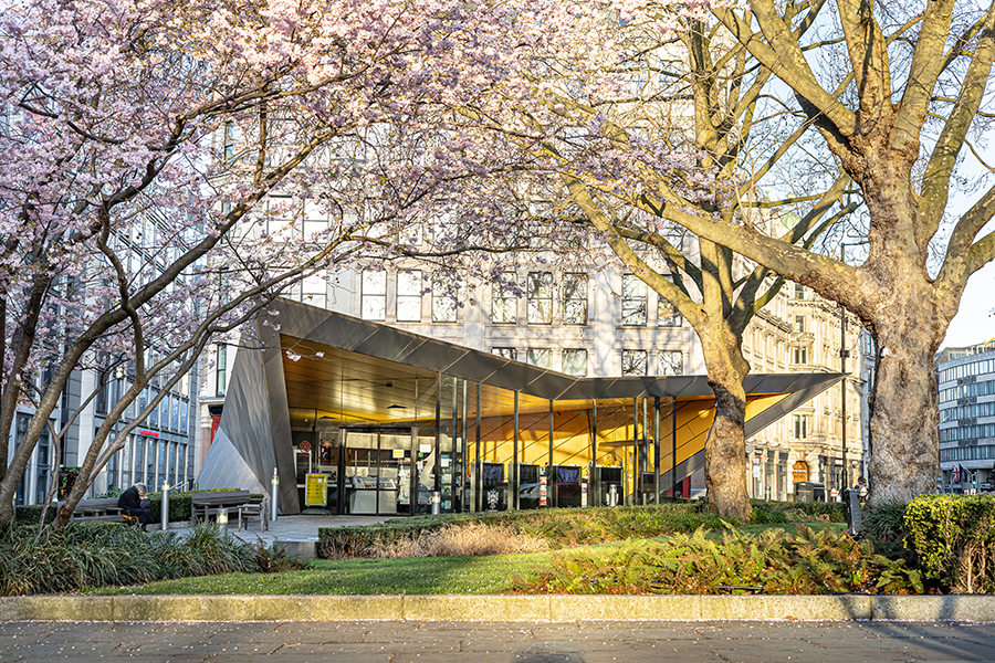 Small patch of grass with information centre behind and cherries in bloom