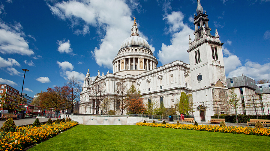 Grass, yellow flowers and a fountain with st paul's cathedral behind