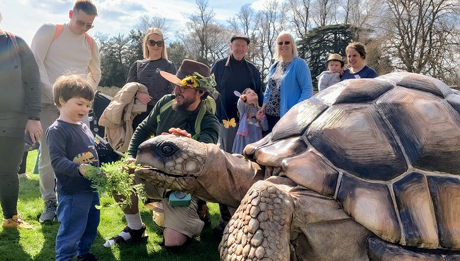 A kid feeding lettuce to a giant tortoise whilst five adults and two other kids look at him.