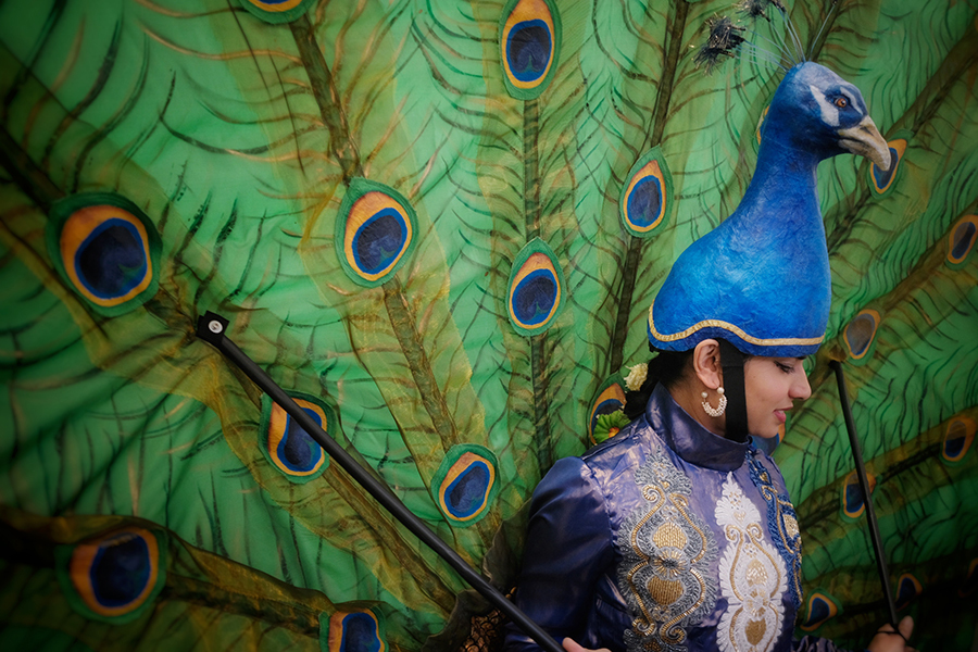 person in peacock costume
