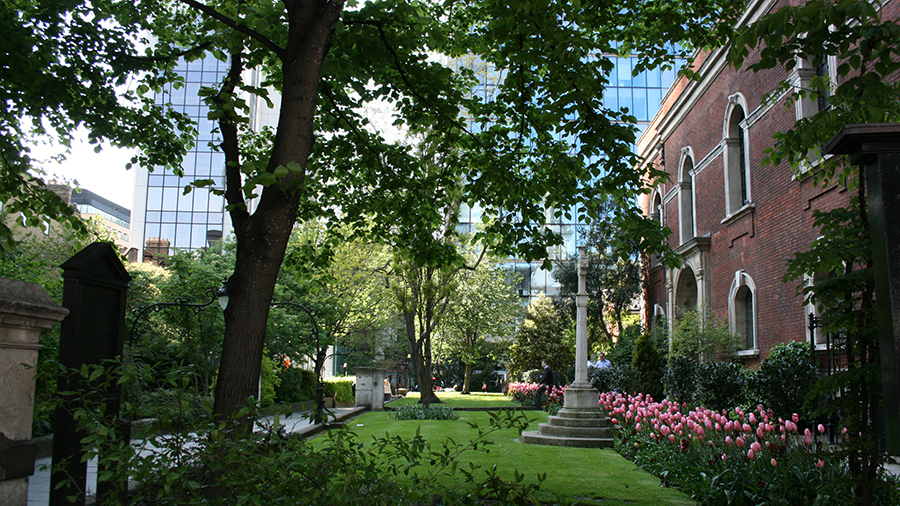 Churchyard garden with trees, green grass and pink flowers