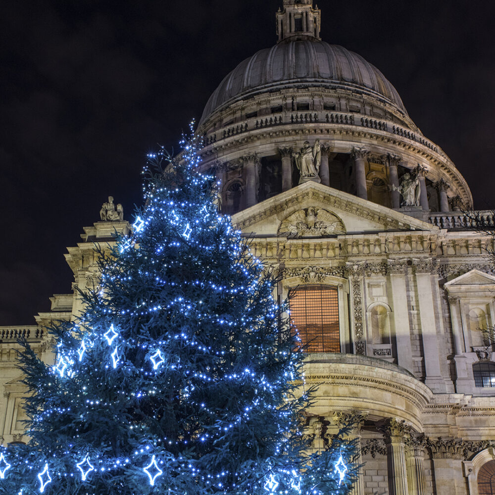 Christmas tree decorated with lights and St Paul's Cathedral behind