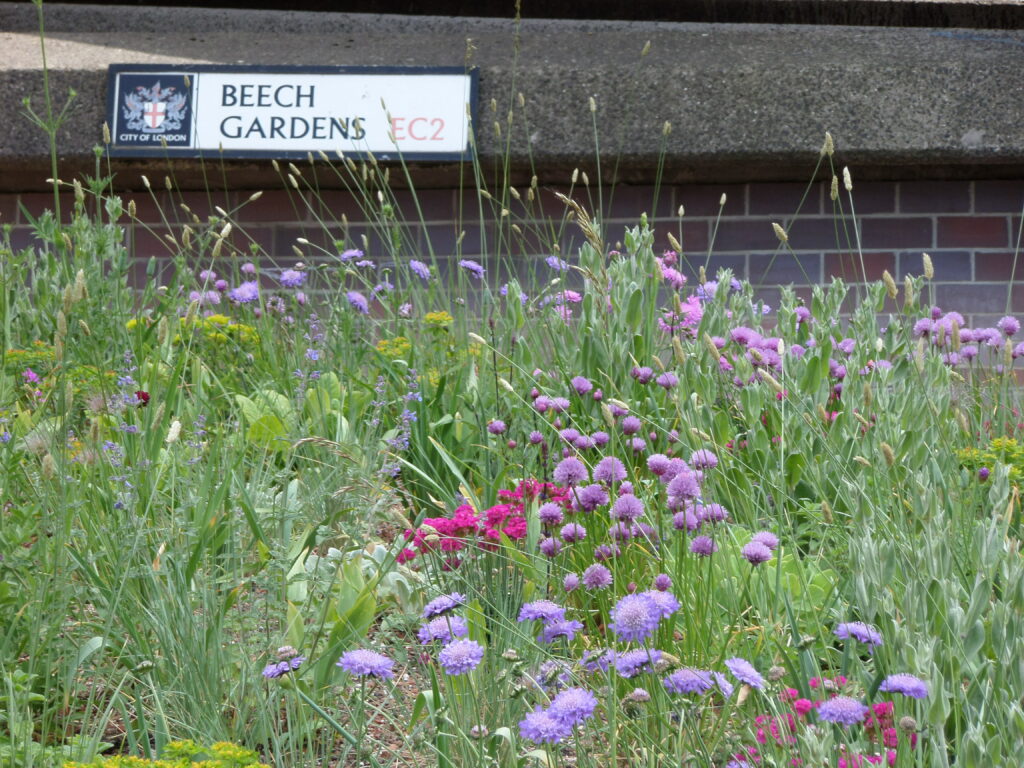 Colourful wild flowers in Beech Garden, White sign with writing on granite wall which reads 'Beech Gardens EC2' with the City of London Crest. 
