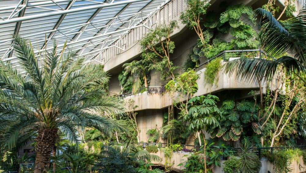 Concrete Garden: Imagining Worlds