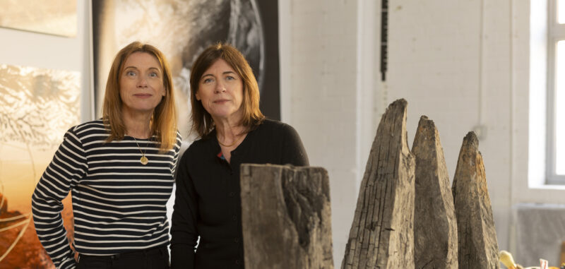 Jane and Louise Wilson: Performance of Entrapment