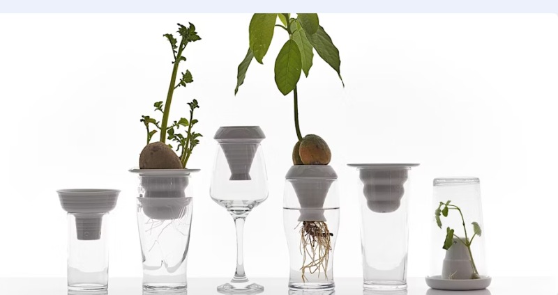 Plantation Workshop with Alicja Patanowska