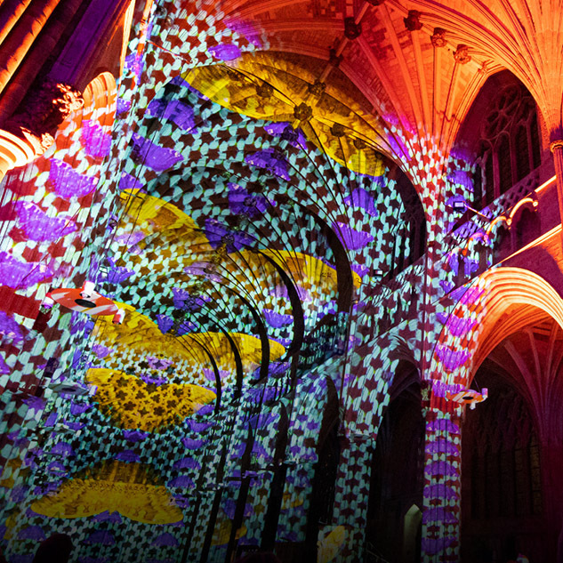 Colorful light projections featuring butterfly patterns on the vaulted ceilings and arches of a cathedral.