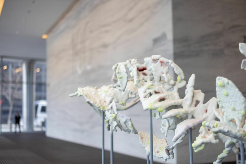 Glasshouse Stories – an installation by artist Claudia Fontes