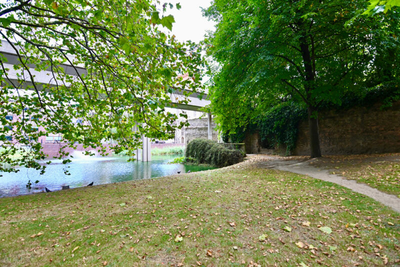 Revealing the Medieval Jewish Cemetery Exhibition