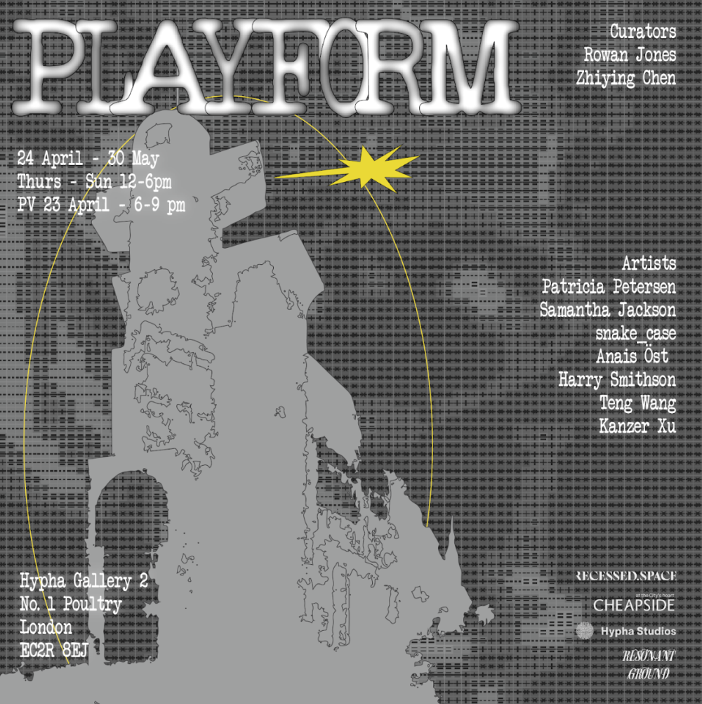 PLAYFORM – Hypha Gallery 2