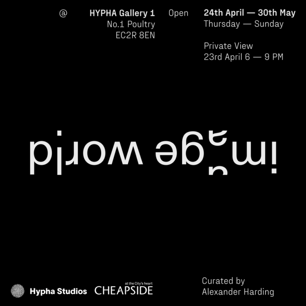 Image World – Hypha Gallery 1