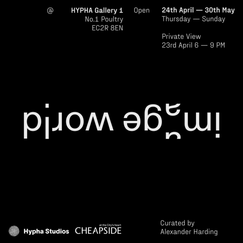 Image World – Hypha Gallery 1