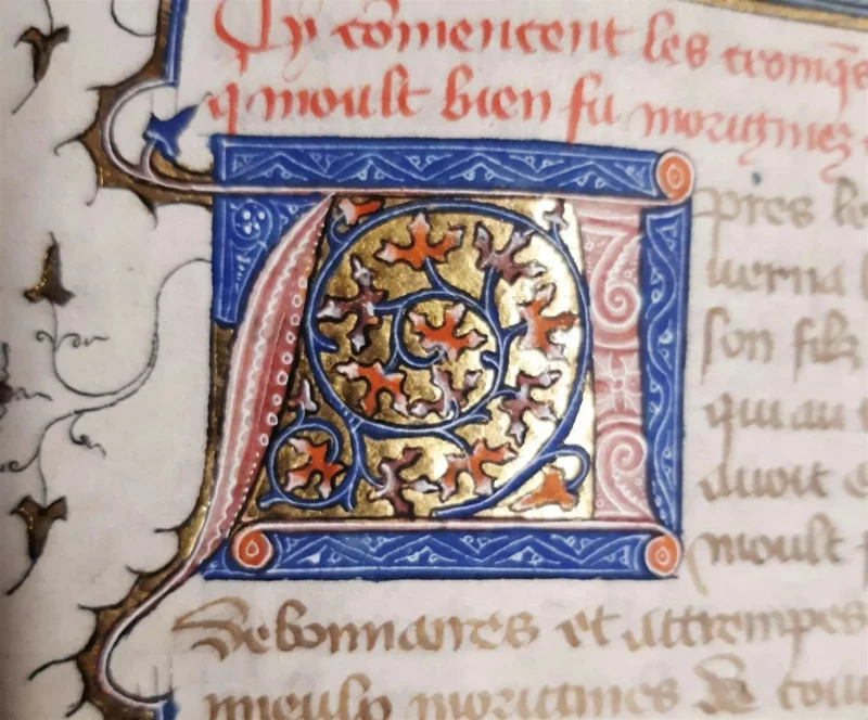 History and Treasures of Guildhall Library