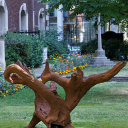 What appears as a wooden tree branching into different directions